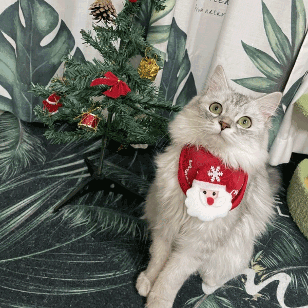 π Adorable Christmas Tree Pom-Pom Hat - Hot Sale 50% OFF! π